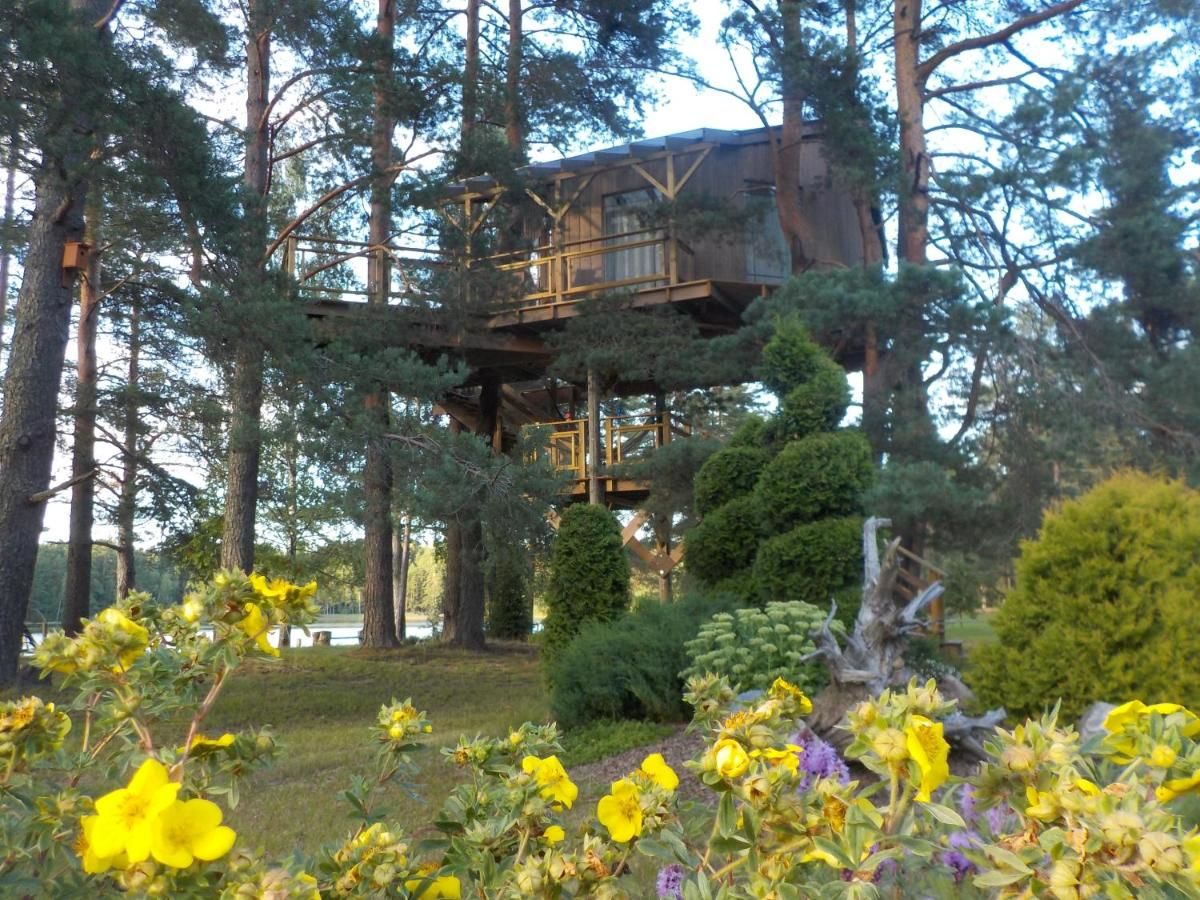 Дома для отпуска Treehouse Čiekurs Duķuri