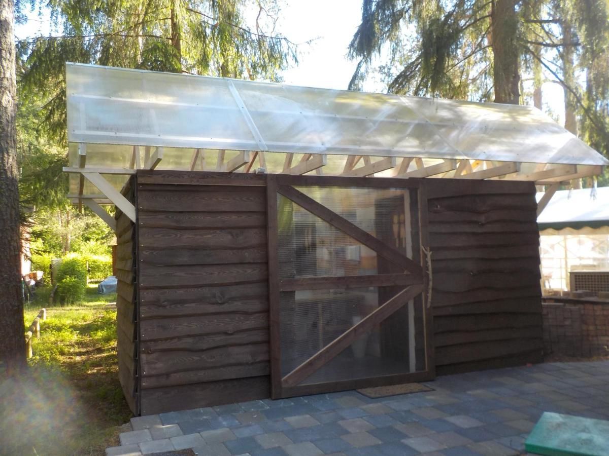 Дома для отпуска Treehouse Čiekurs Duķuri-41