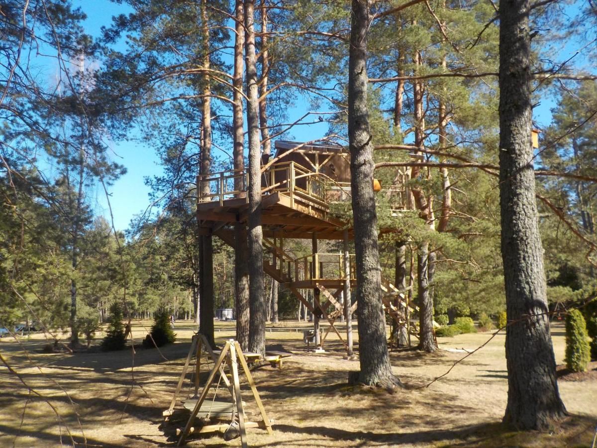 Дома для отпуска Treehouse Čiekurs Duķuri-43