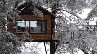 Дома для отпуска Treehouse Čiekurs Duķuri Стандартный дом на дереве с видом на озеро-14