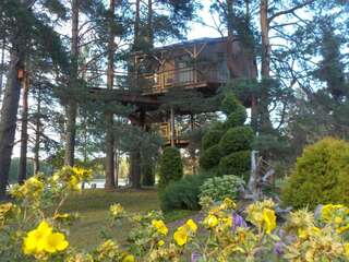 Дома для отпуска Treehouse Čiekurs Duķuri Дом на дереве «Комфорт» с видом на озеро-24