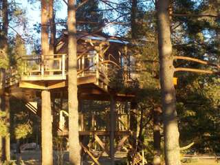 Дома для отпуска Treehouse Čiekurs Duķuri Дом на дереве «Комфорт» с видом на озеро-25