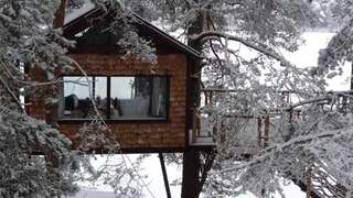 Дома для отпуска Treehouse Čiekurs Duķuri Стандартный дом на дереве с видом на озеро-39