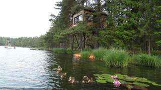 Дома для отпуска Treehouse Čiekurs Duķuri Стандартный дом на дереве с видом на озеро-43