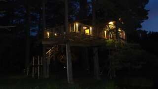 Дома для отпуска Treehouse Čiekurs Duķuri Стандартный дом на дереве с видом на озеро-46