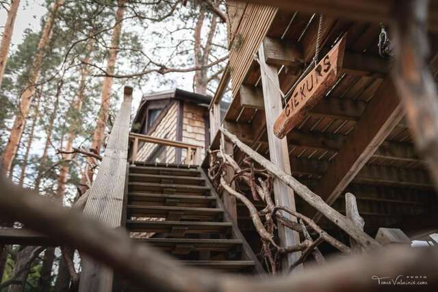 Дома для отпуска Treehouse Čiekurs Duķuri-54